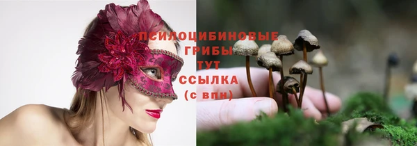эйфоретик Балахна